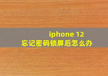 iphone 12忘记密码锁屏后怎么办